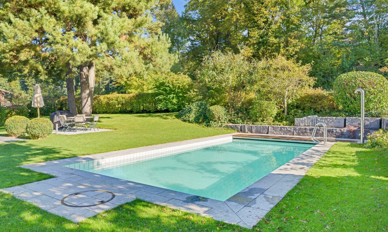 schwimmbad mit from property, rasen, terrasse, schwimmbad, und handlauf