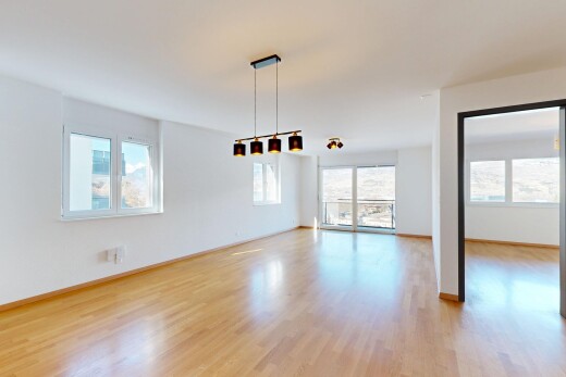 pièce vide avec sol en finition bois, wood finish floor, cloison sèche, drywall, et lumière naturelle