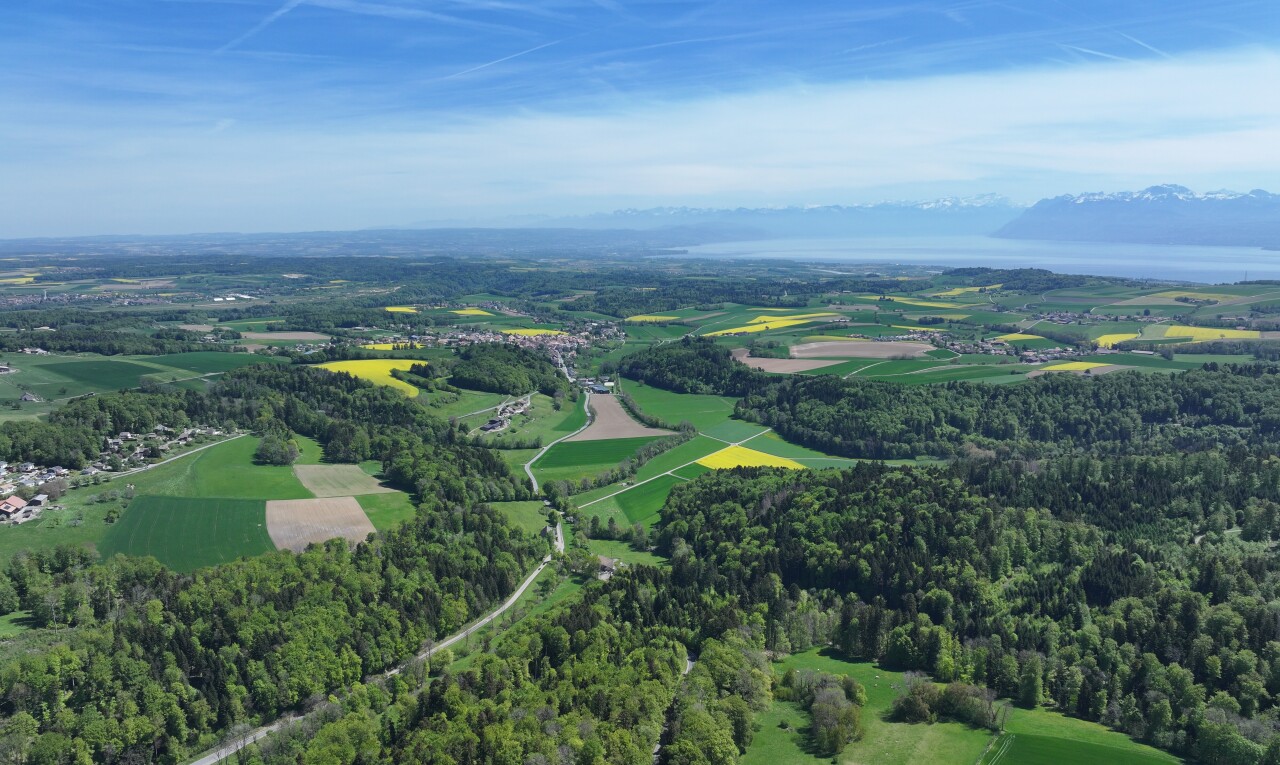 vue sur la montagne avec aerial view
