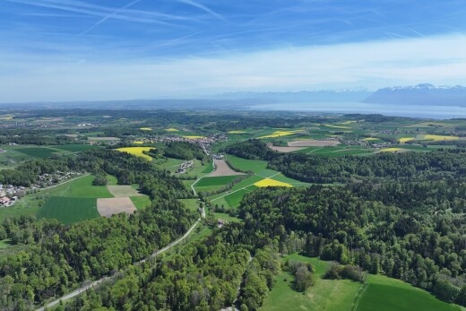 vue sur la montagne avec aerial view