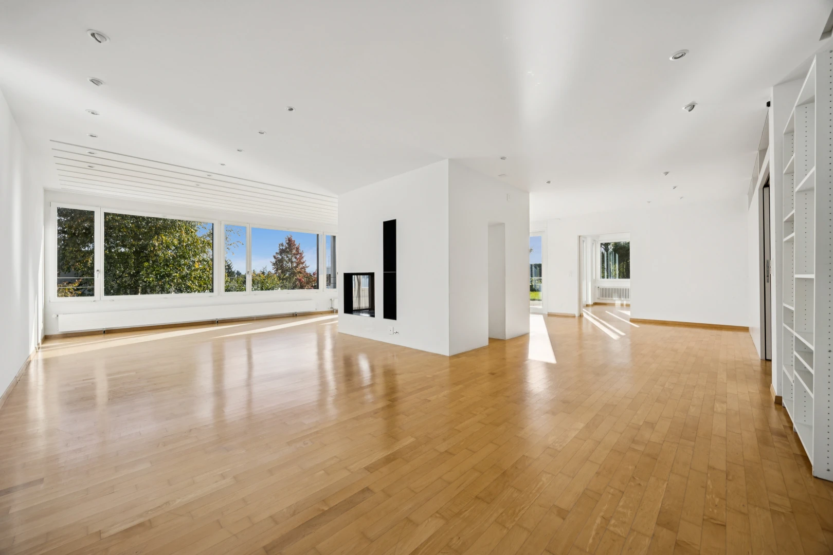 leerer raum mit day time, gipskartonwand, drywall, holzfußboden, und wood finish floor