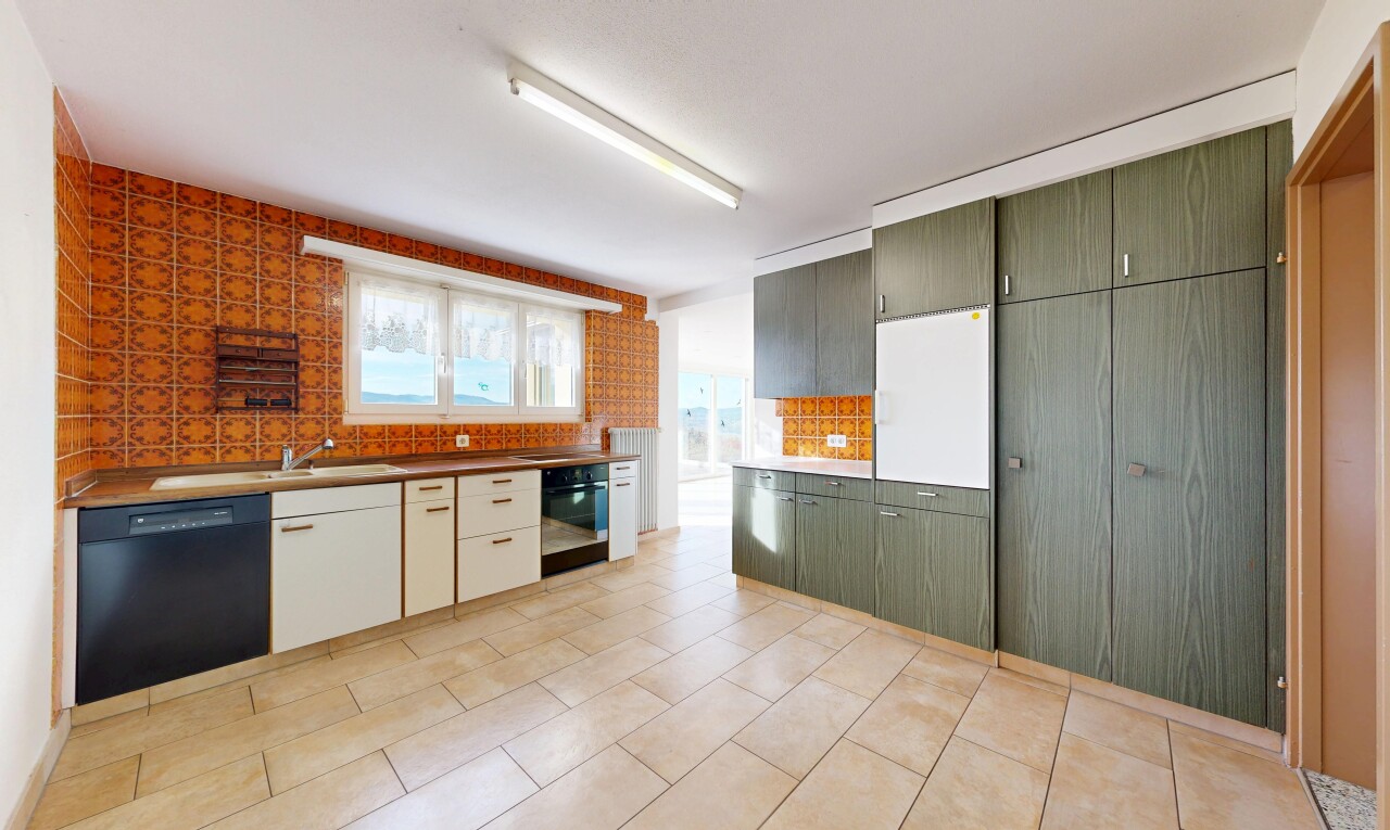 küche mit geschirrspülmaschine, natural light, natürliches licht, ofen, und tile floor