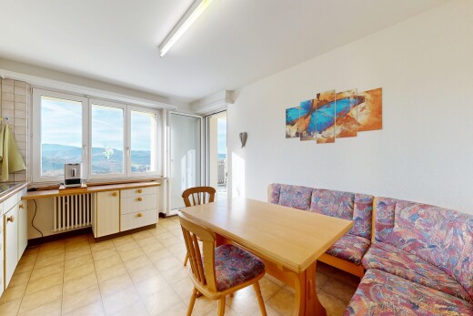 wohn- / esszimmer mit natural light, natürliches licht, kühler, drywall, und gipskartonwand