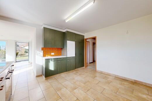 küche mit grüne schränke, natural light, natürliches licht, drywall, und gipskartonwand