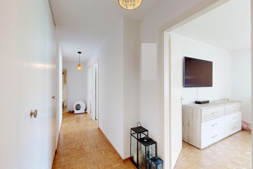 couloir avec parquet floor, sol en finition bois, wood finish floor, télévision, et cloison sèche