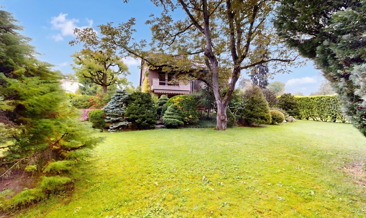 garten mit day time und rasen