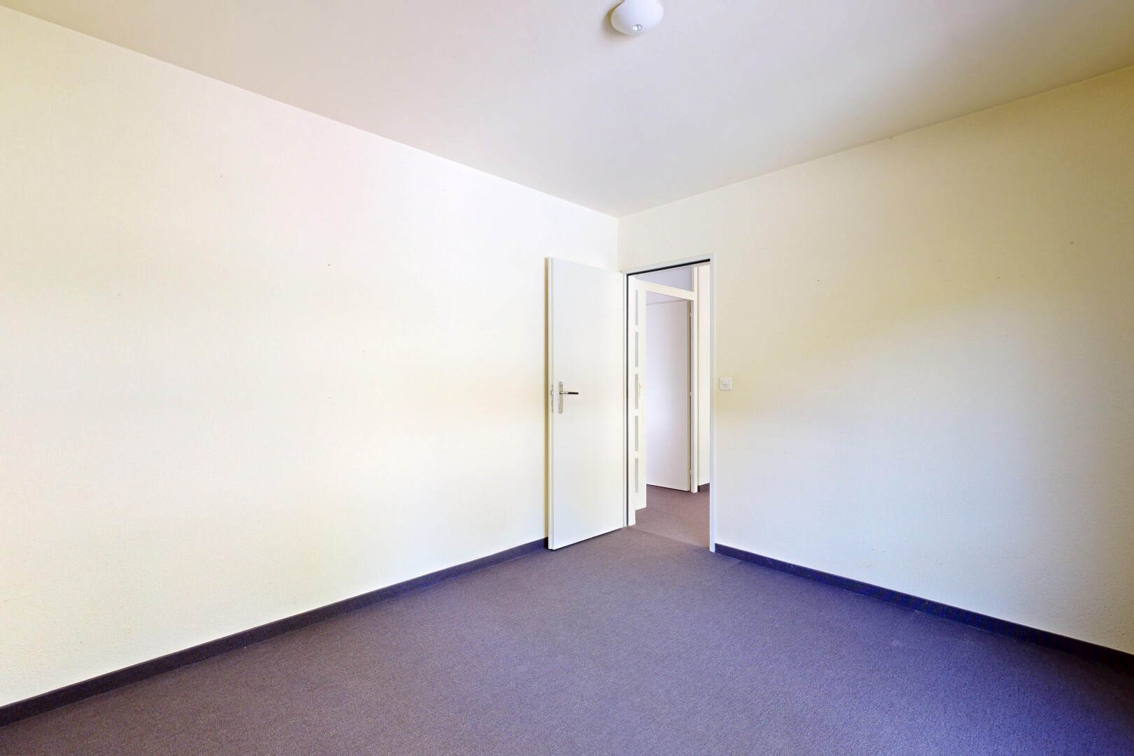 leerer raum mit gipskartonwand, drywall, teppich, carpet, und inside property