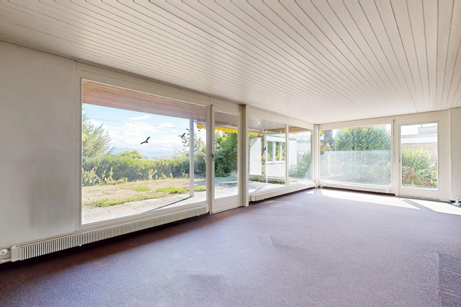leerer raum mit außenzugang, wintergarten, teppich, carpet, und day time