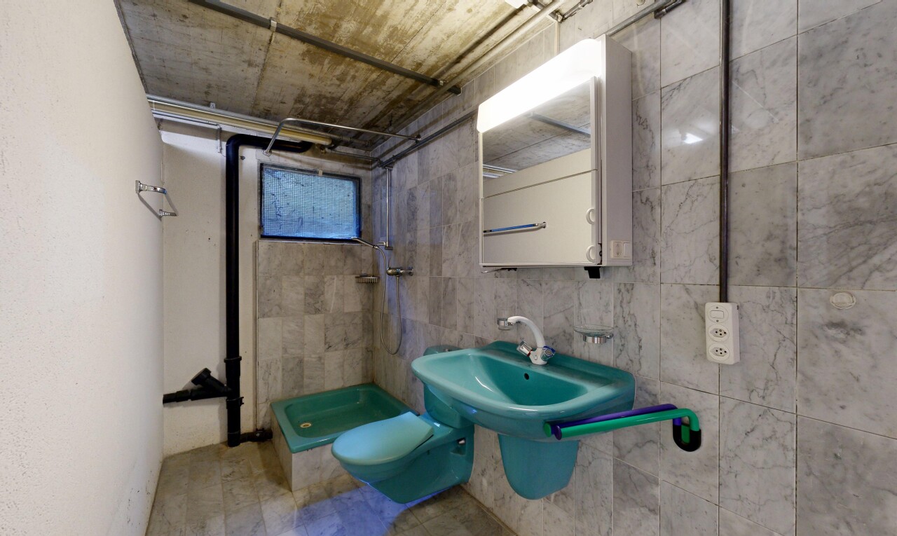 bad mit dusche, komplettes badezimmer, waschbecken, spiegel, und inside property