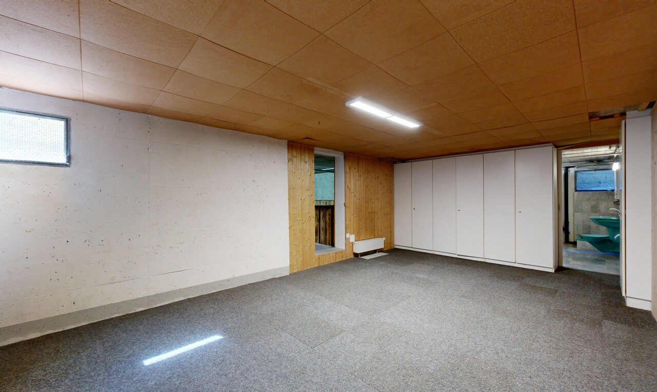 leerer raum mit low ceiling, niedrige decke, keller, kleiderschrank, und inside property