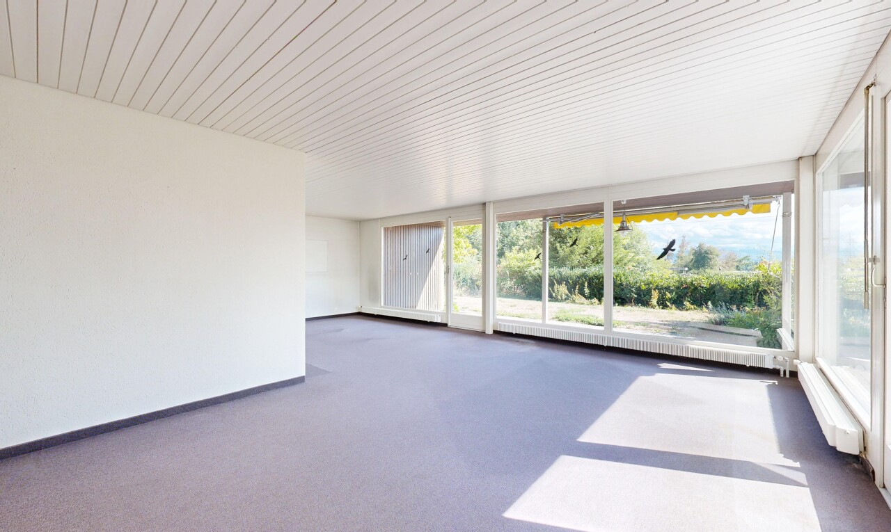 leerer raum mit wintergarten, drywall, gipskartonwand, carpet, und teppich