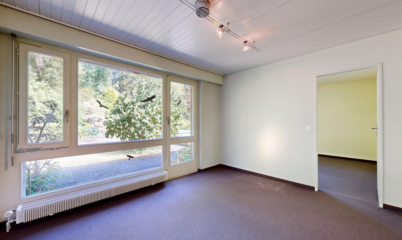 leerer raum mit gipskartonwand, drywall, teppich, carpet, und inside property