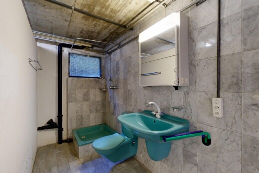 bad mit dusche, komplettes badezimmer, waschbecken, spiegel, und inside property
