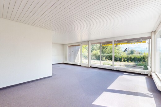 leerer raum mit wintergarten, drywall, gipskartonwand, carpet, und teppich