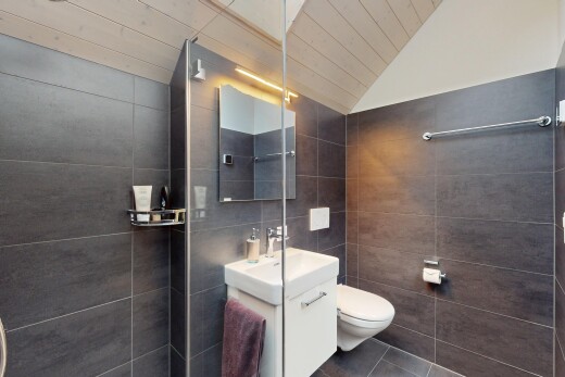 salle de bains avec plafond voûté, mur en carrelage, miroir, et toilette