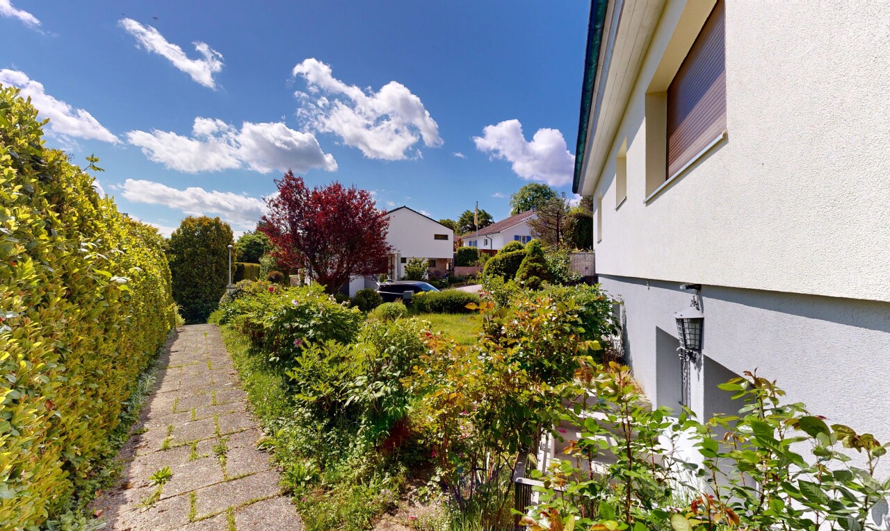garten mit day time