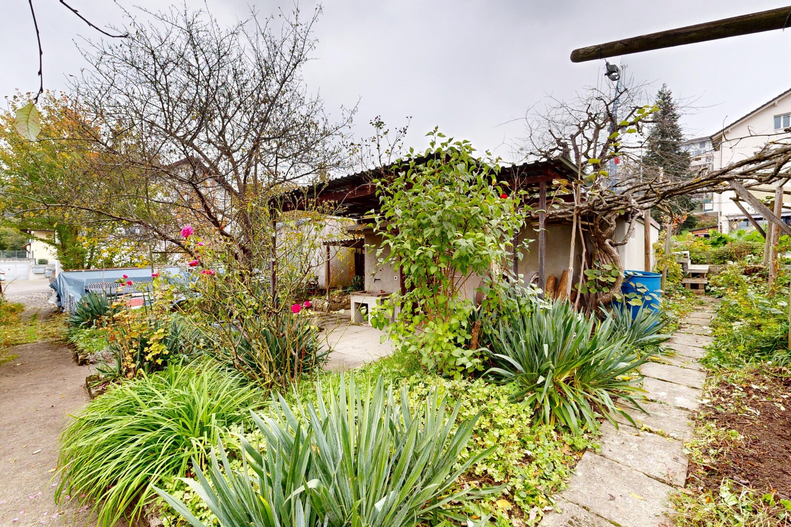 garten mit property visible, overcast, und terrasse