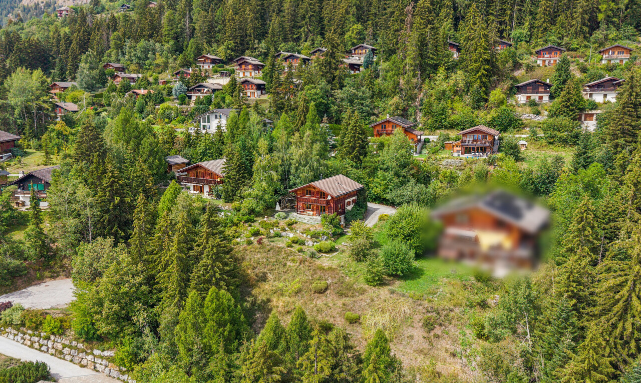 vue sur la montagne avec forest view et vue sur la forêt
