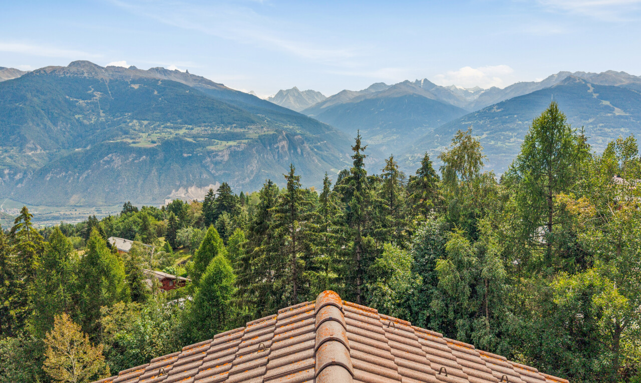 vue sur la montagne avec mountain view, vue sur la montagne, from property, view focus, et forest view