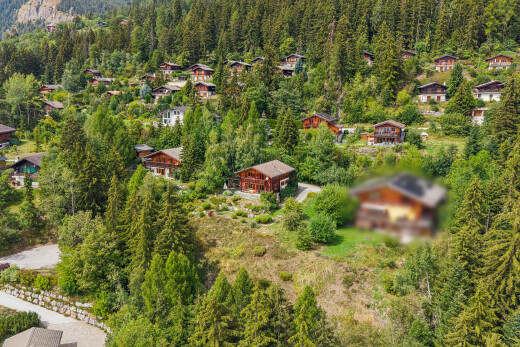 vue sur la montagne avec forest view et vue sur la forêt