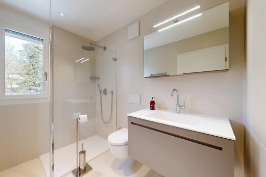 salle de bains avec douche, lumière naturelle, et toilette