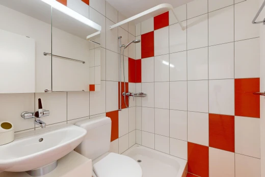 salle de bains avec évier, salle de bain complète, douche, toilette, et miroir