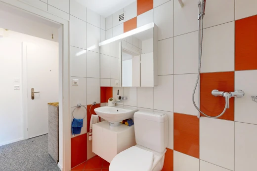 salle de bains avec miroir, évier, toilette, mur en carrelage, et tile wall