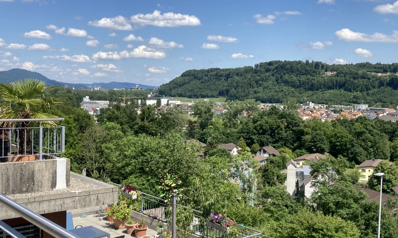 blick auf die berge mit day time, view focus, from property, forest view, und waldblick