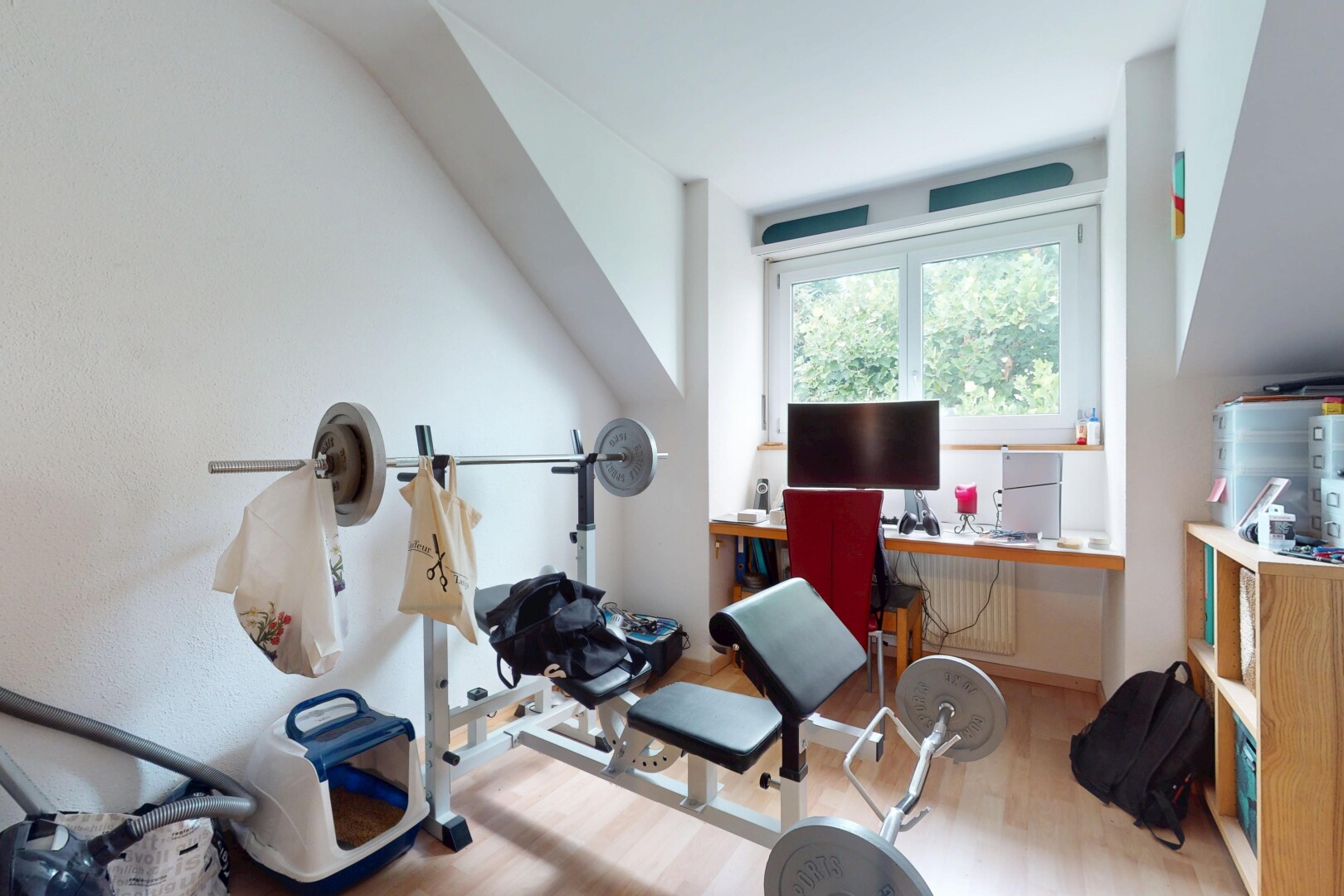 gym avec wood finish floor, sol en finition bois, télévision, inside property, et natural light