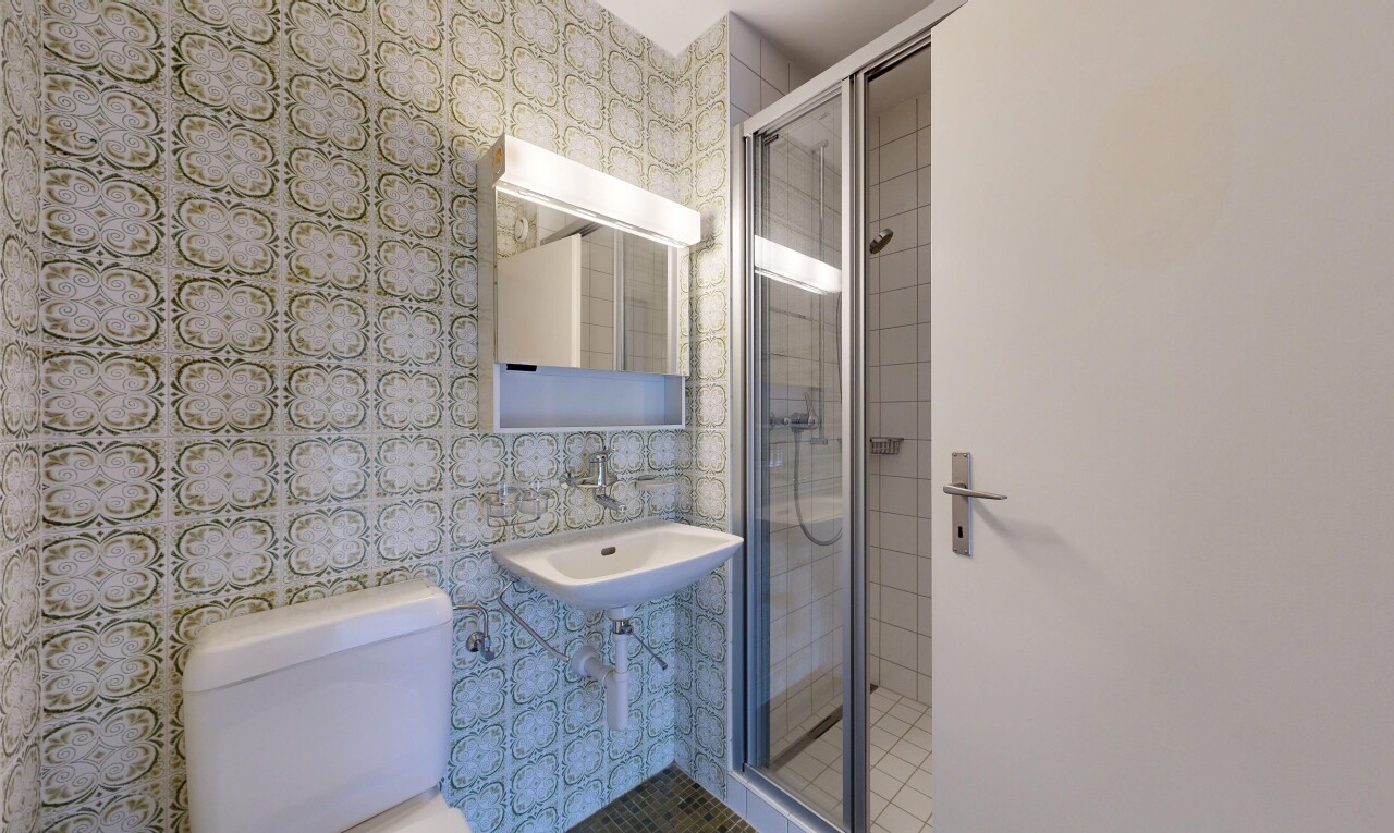 salle de bains avec miroir, salle de bain complète, douche, toilette, et évier