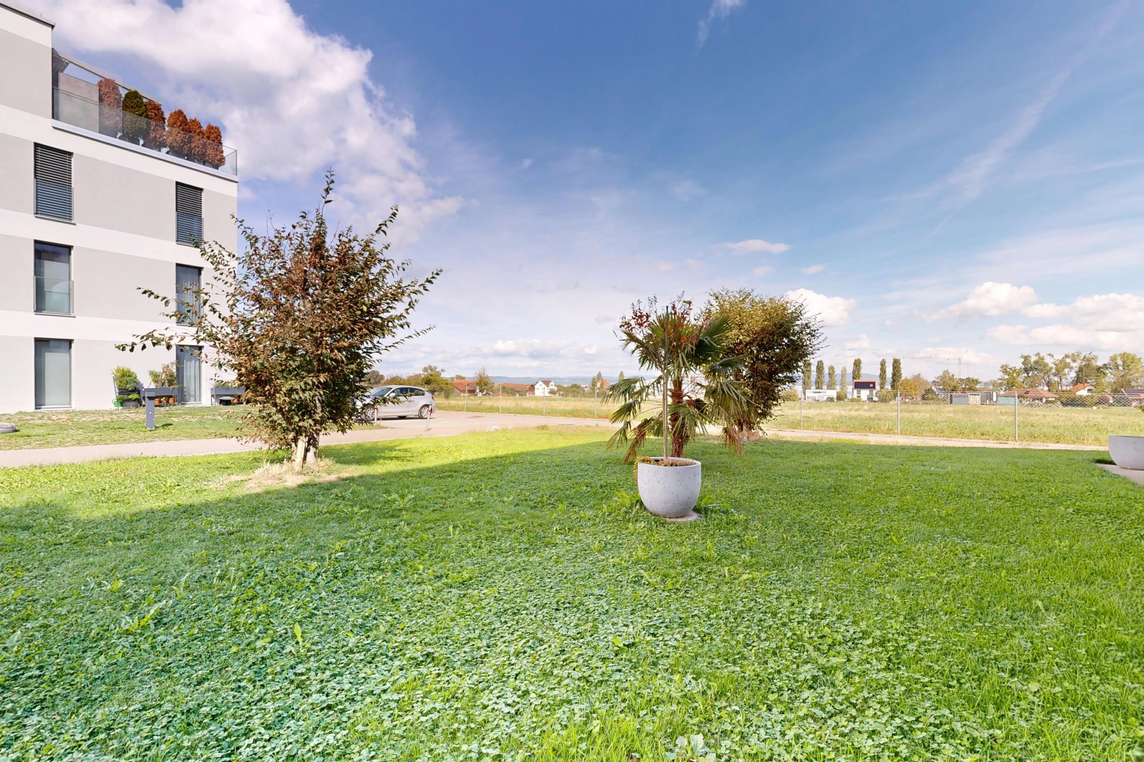 garten mit day time und rasen