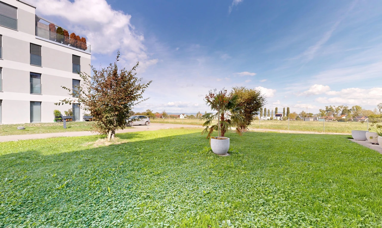garten mit day time und rasen