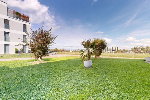 garten mit day time und rasen