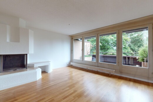 leerer raum mit kamin, holzfußboden, wood finish floor, natürliches licht, und natural light