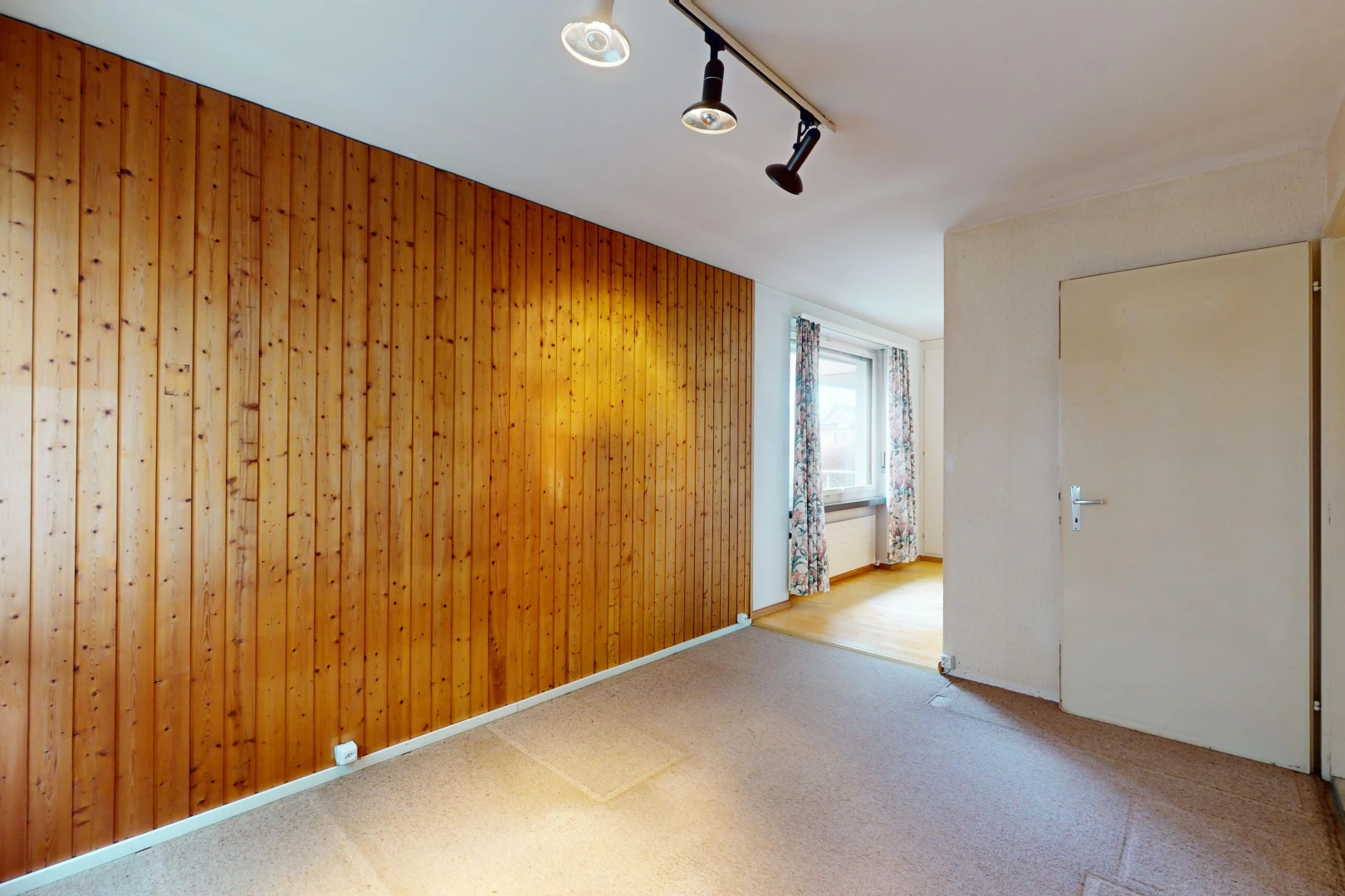 pièce vide avec lumière naturelle, éclairage sur rail, moquette, et mur en bois