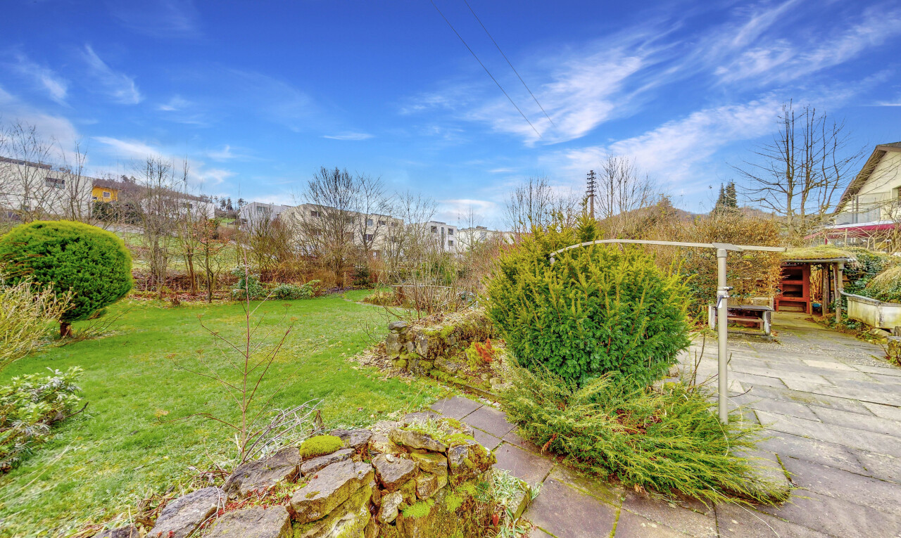 jardin avec day time et pelouse