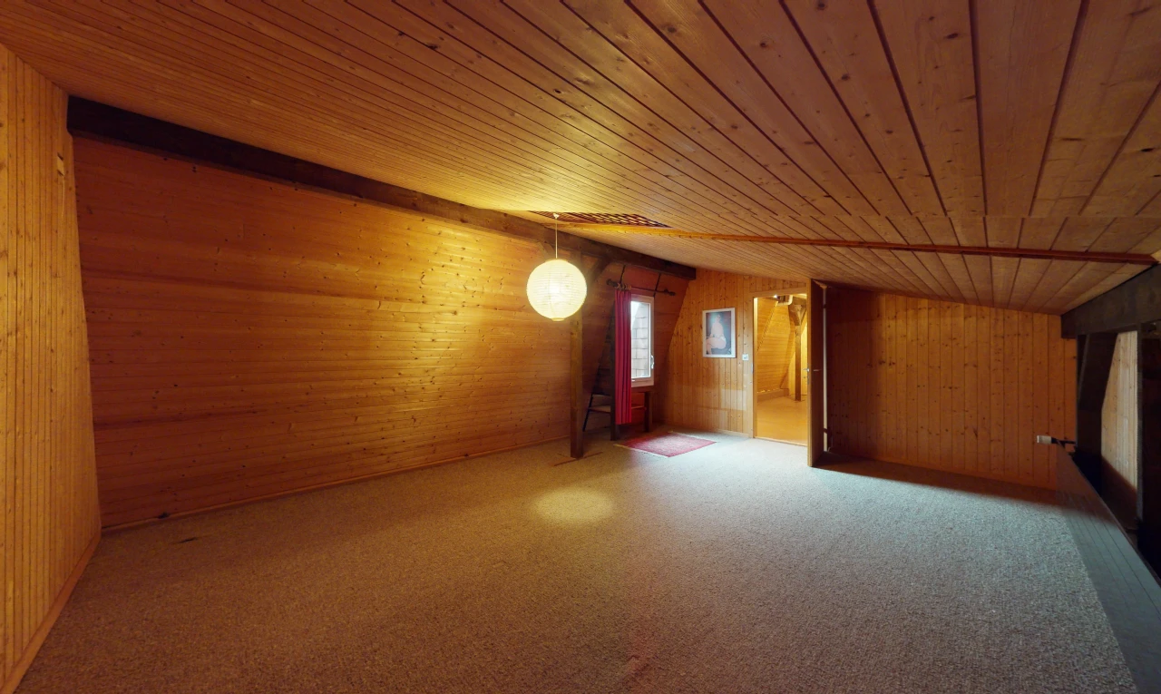 pièce vide avec plafond de bois, lumière naturelle, et mur en bois