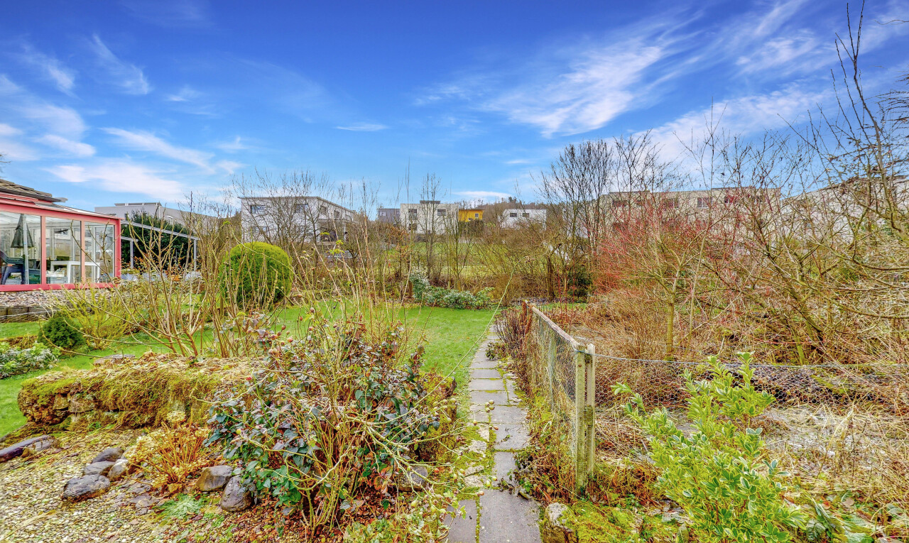 jardin avec day time et clôture