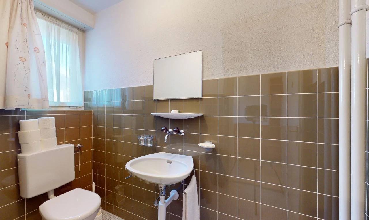 salle de bains avec mur carrelé, lumière naturelle, toilettes, vasque, et miroir