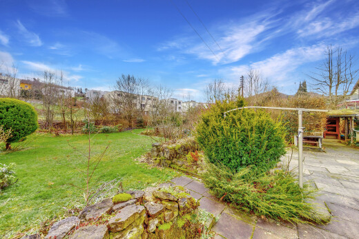 garten mit day time und rasen