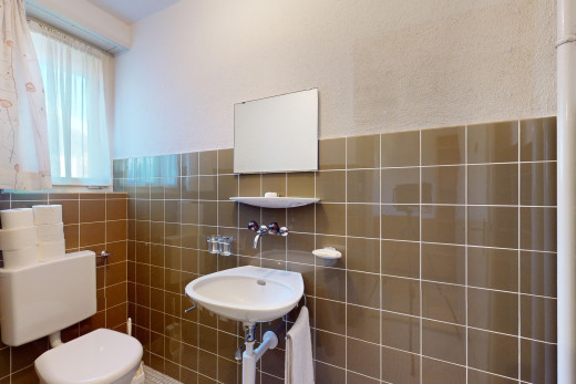 salle de bains avec mur carrelé, lumière naturelle, toilettes, vasque, et miroir