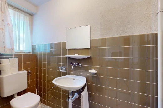 salle de bains avec mur carrelé, lumière naturelle, toilettes, vasque, et miroir