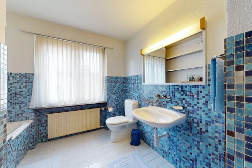salle de bains avec lumière naturelle, mur carrelé, miroir, et radiateur