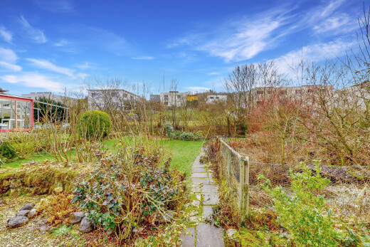 jardin avec day time et clôture