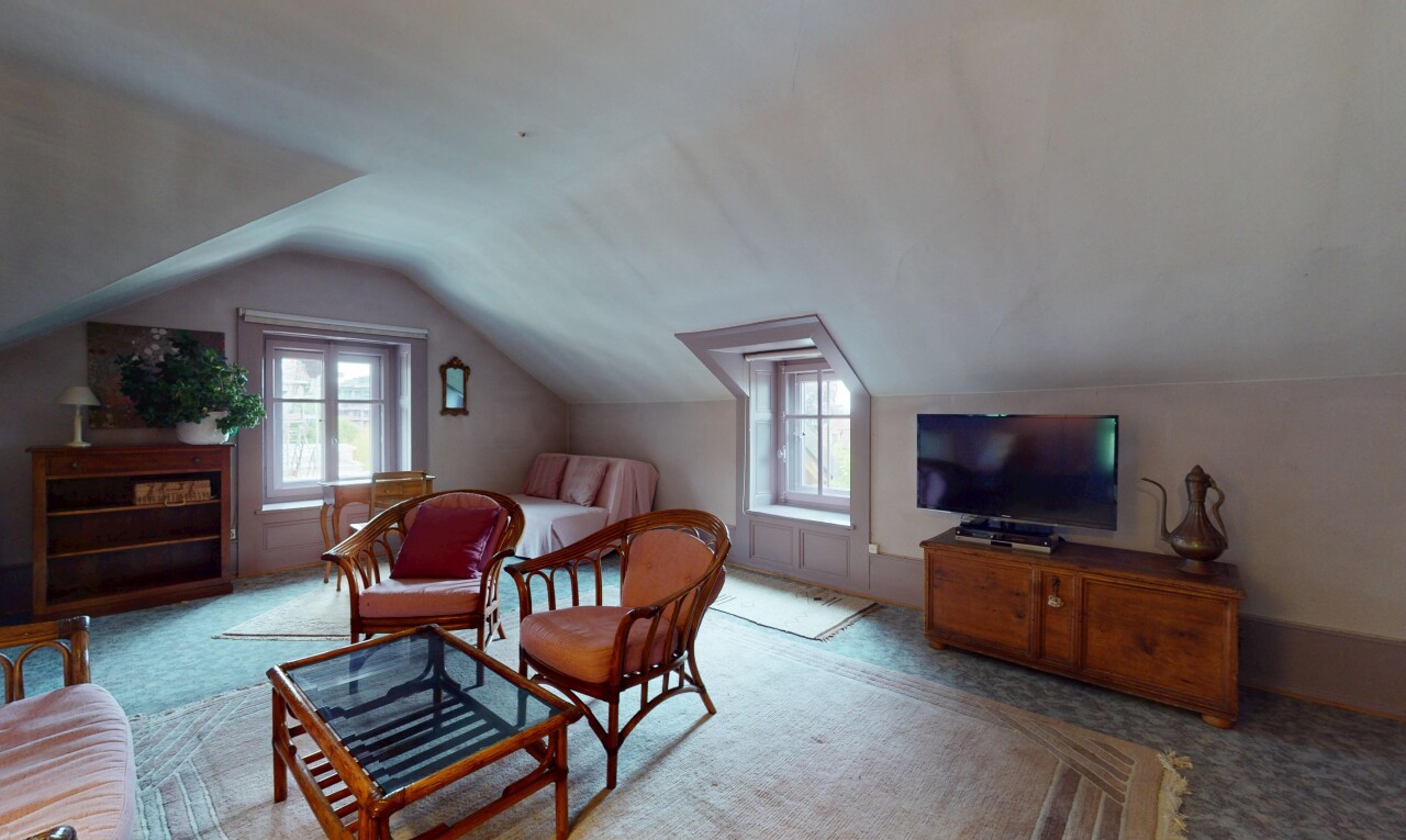 salon avec télévision, moquette, carpet, plafond bas, et low ceiling