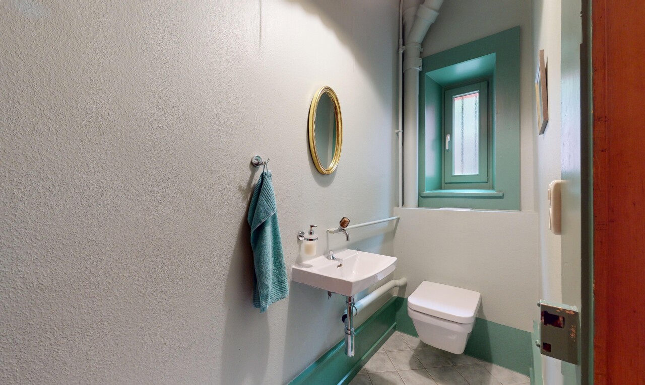 salle de bains avec toilette, miroir, lumière naturelle, natural light, et sol en carrelage