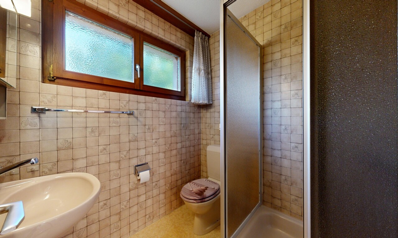 salle de bains avec natural light, lumière naturelle, salle de bain complète, douche, et tile wall