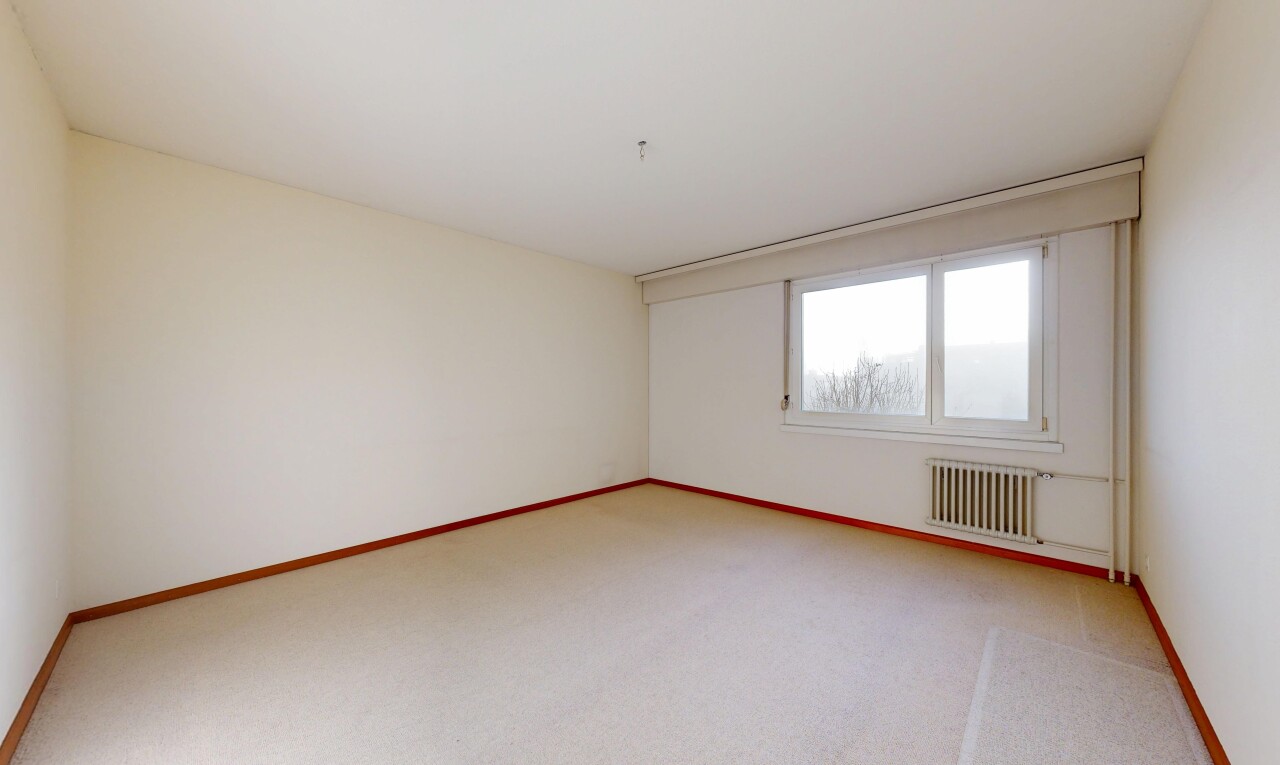 pièce vide avec moquette, carpet, lumière naturelle, natural light, et cloison sèche