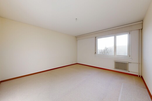 leerer raum mit teppich, carpet, natürliches licht, natural light, und gipskartonwand