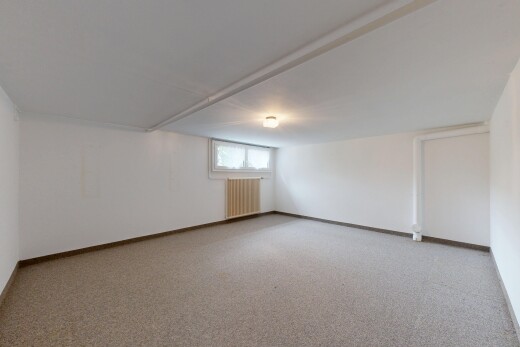 spare room with light colored carpet and radiator heating unit